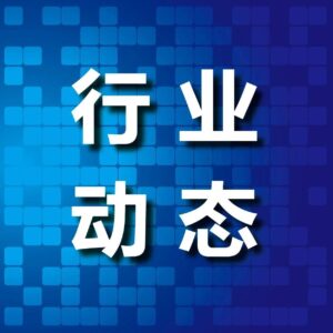 挪威三文鱼，来了！